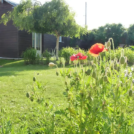 Petit Douillet L'abri Cotier * Saint-Léonard