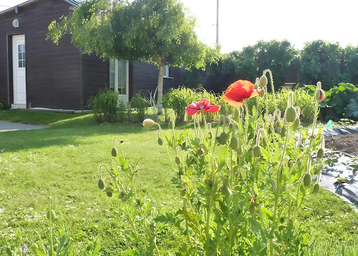 Petit Douillet L'abri Cotier * Saint-Leonard (Seine-Maritime)